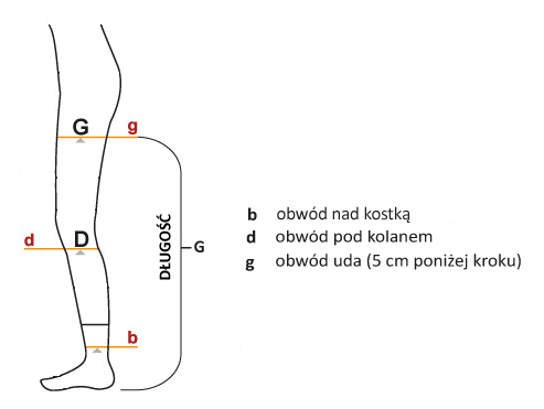 POŃCZOCHY