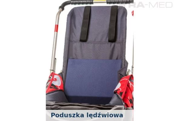 Poduszka lędźwiowa