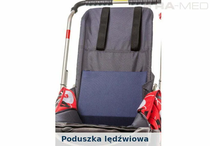 Poduszka lędźwiowa